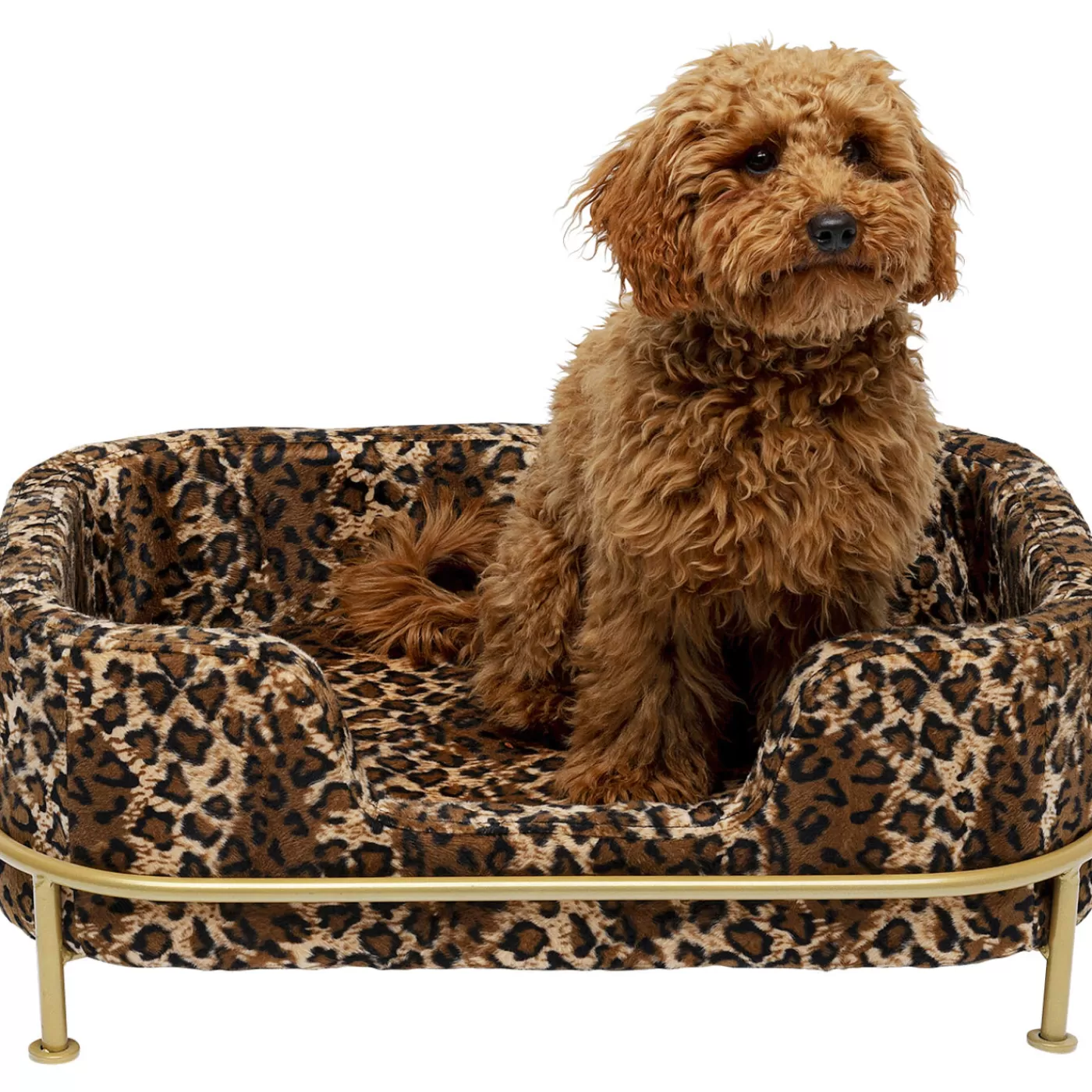 KARE Design Lit Pour Chien/Chat Diva Leo