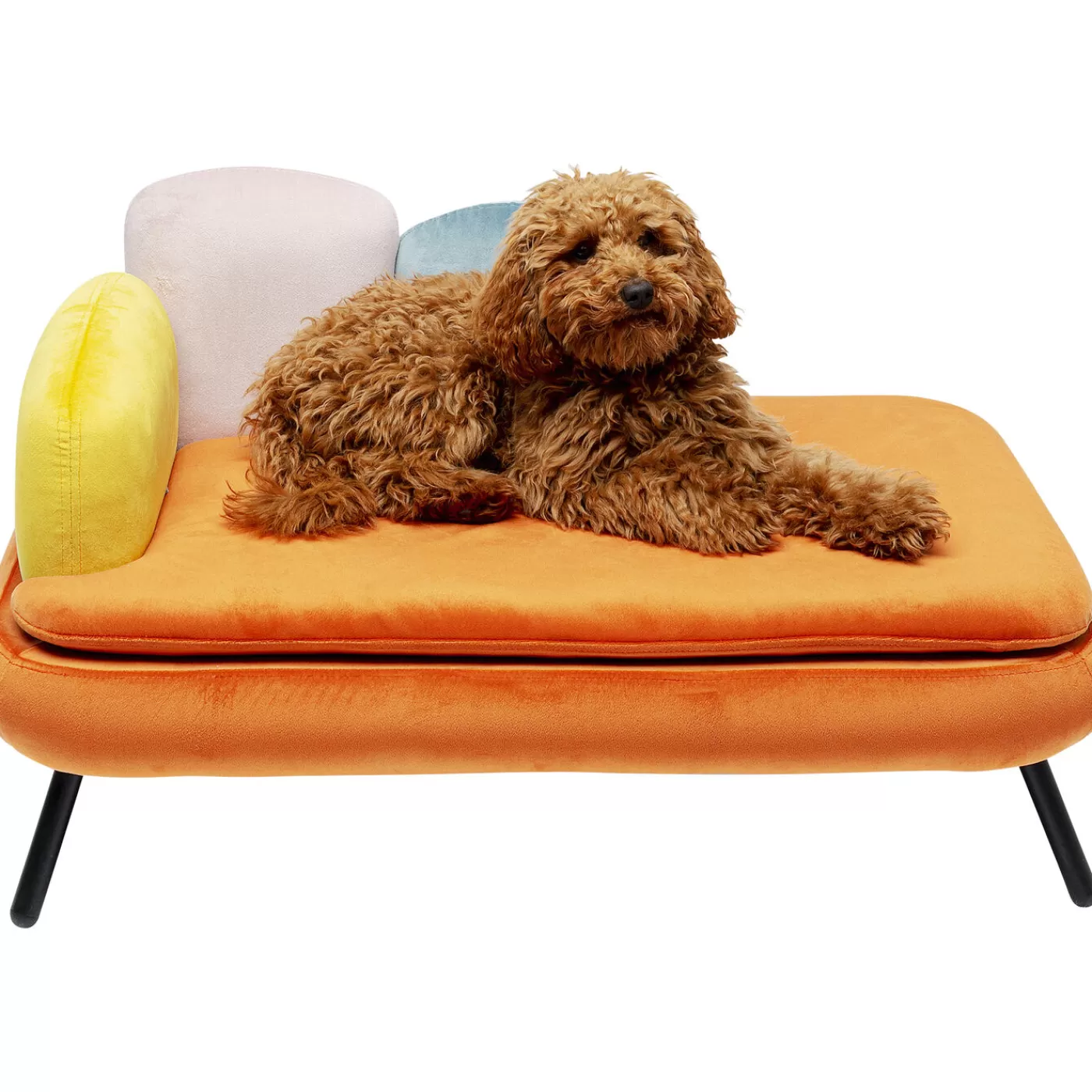 KARE Design Lit Pour Chien/Chat Diva Orange