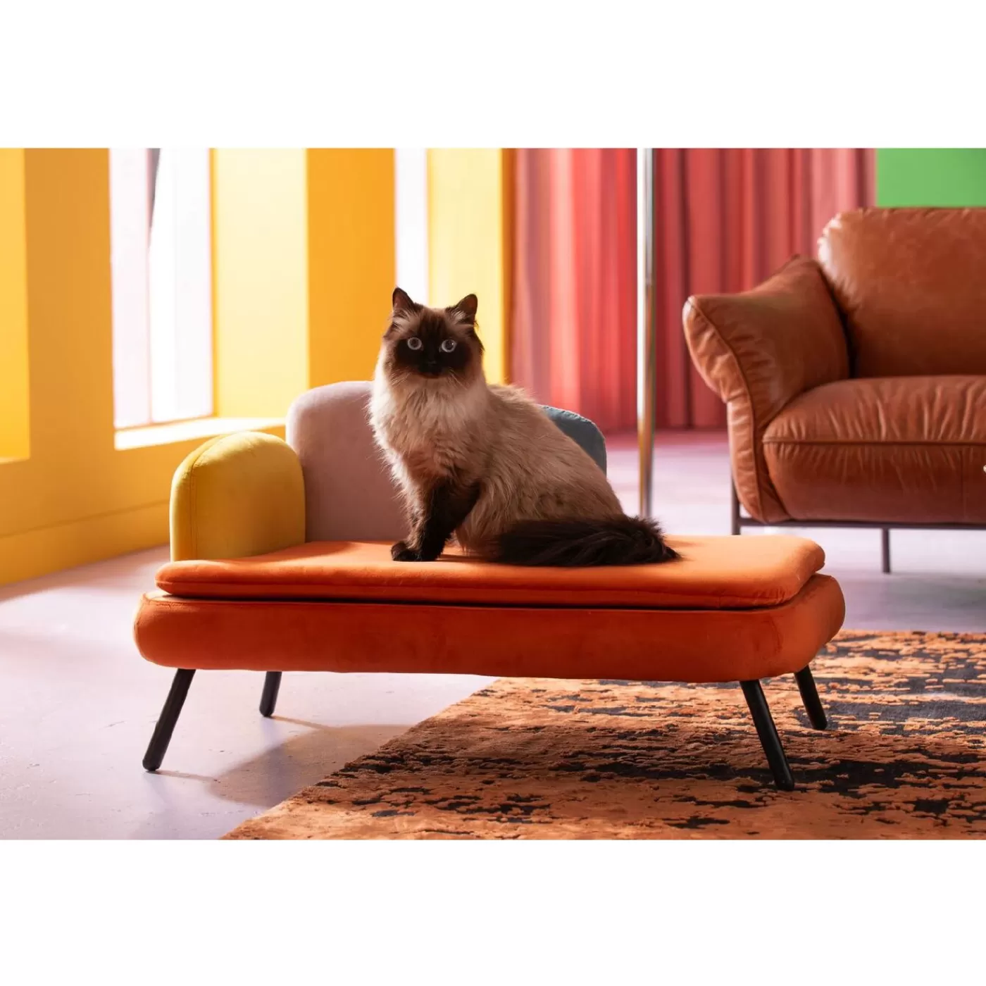 KARE Design Lit Pour Chien/Chat Diva Orange