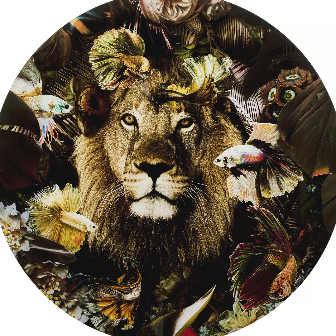 KARE Design Tableau En Verre Curious Lion O100Cm