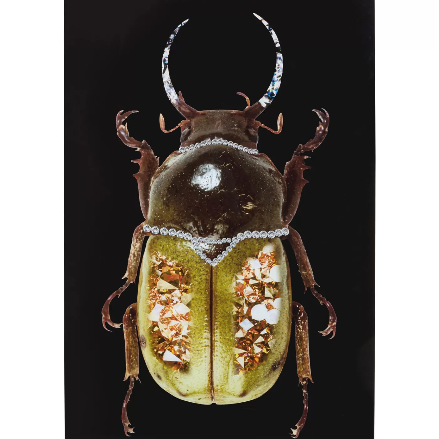 KARE Design Tableau En Verre Shiney Dung Beetle 80X120Cm