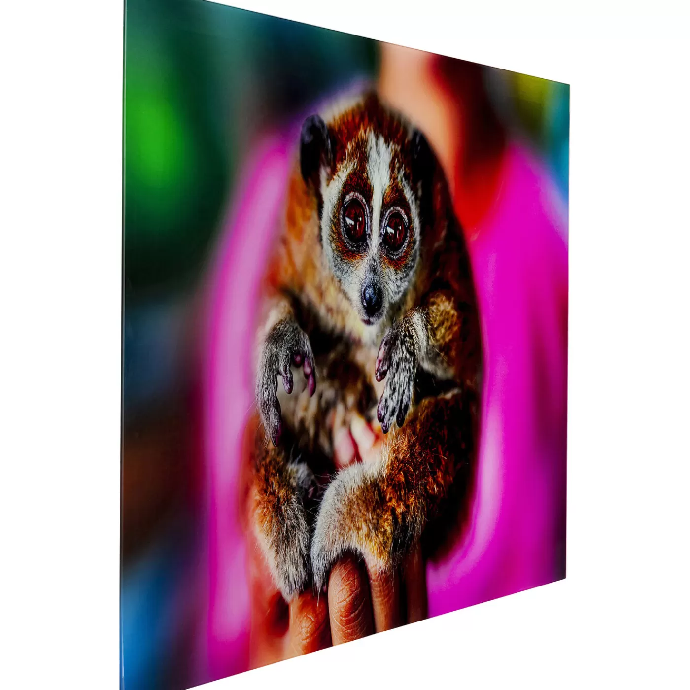 KARE Design Tableau En Verre Slow Loris 80X120