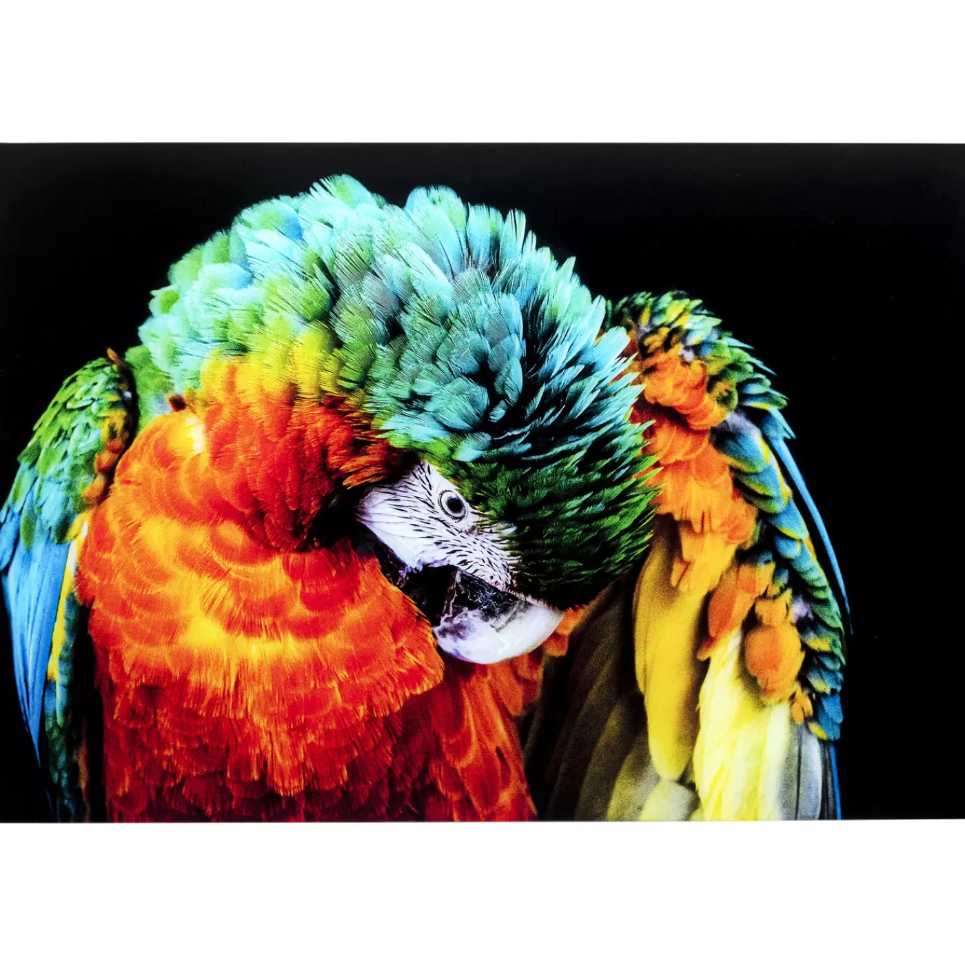 KARE Design Tableau En Verre Tropical Parrot 120X80Cm