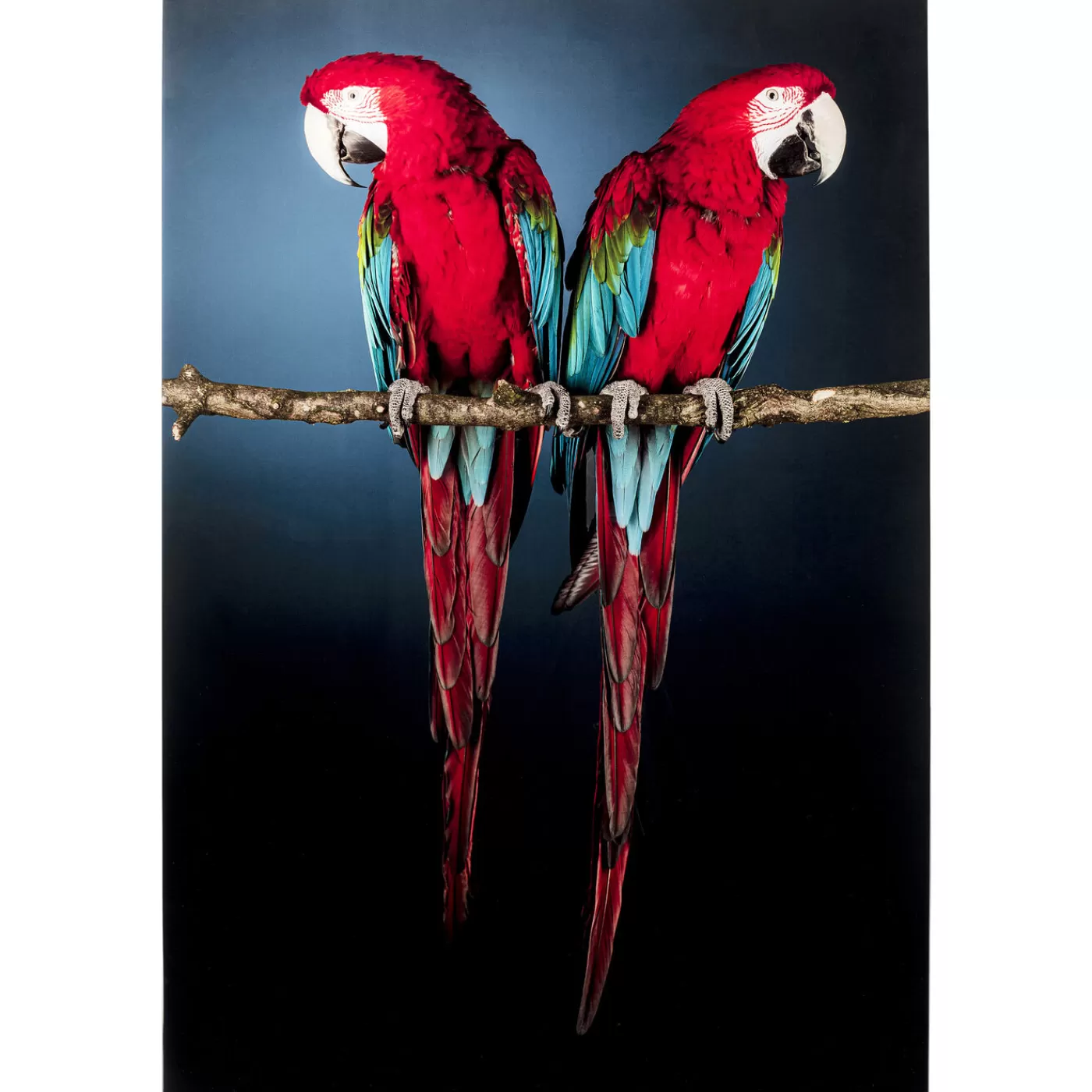 KARE Design Tableau En Verre Twin Parrot 80X120Cm